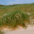 20100722_200422