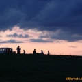 bild50