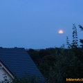 bild53