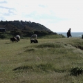 20120603_172346
