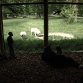 20120605_141627