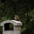 20120606_132221