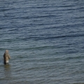 20120609_062717