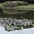 20120613_130804