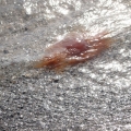 Bild10