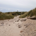 Bild14