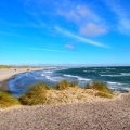 Bild8