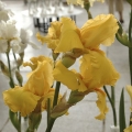 bild12