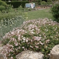 bild16
