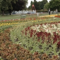 bild6
