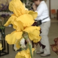 bild7