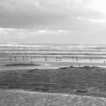 Strand und Möwen