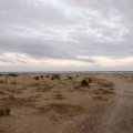 Dünen