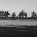 Web_P8318873
