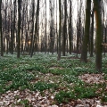 20120409_055253