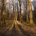 20120409_060708