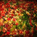 20111002_144538