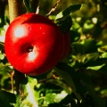 20111002_144855