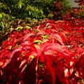 20111002_145032