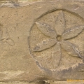 bild11