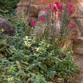 bild12