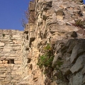 bild13