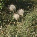 20120612_062749