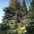 20120612_064441