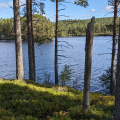 PXL_20240831_104106008