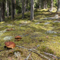 PXL_20240901_111445919