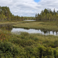 PXL_20240901_114507064