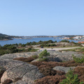 PXL_20240905_134128609